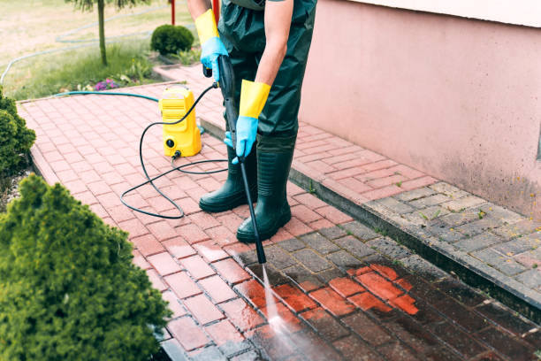 Best Gutter Cleaning  in Thompson, ND